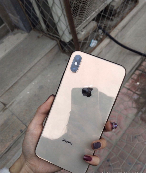 #节后鱼生#正品全原苹果XsMax256G...