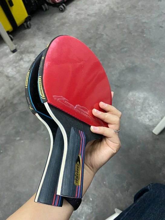 仓库库存，低价出 4星 乒乓球拍正品 双拍...