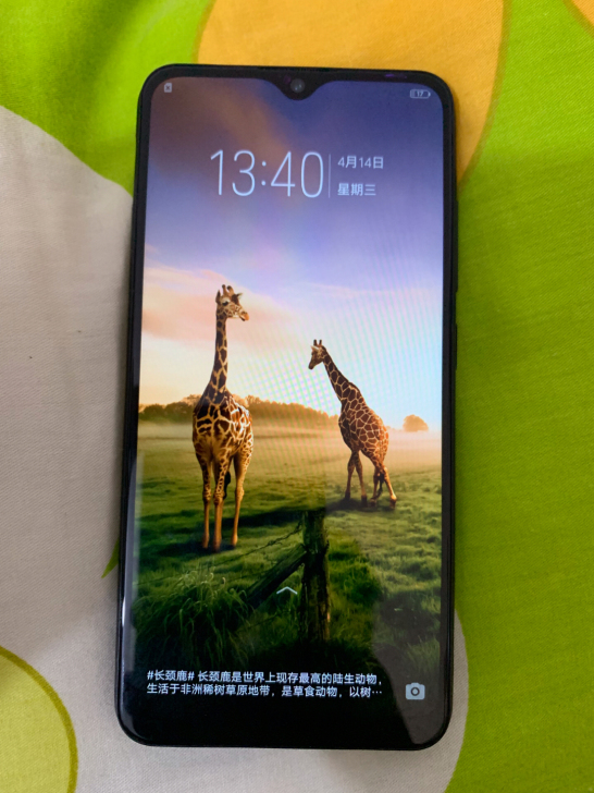 vivo y93几乎全新 4+64全面屏 ...