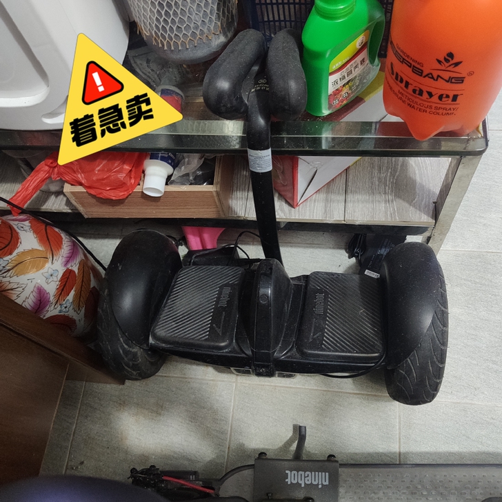 小米九号平衡车 放太久已经开不了机充不进去...