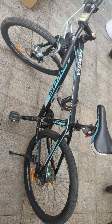 二手喜德盛,新车1098二手500,成色如...