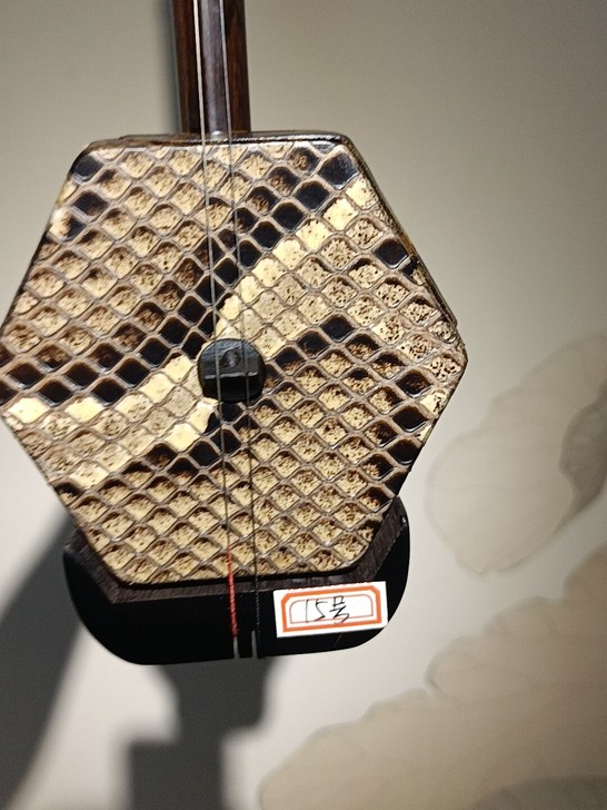 疫情影响，琴行关门，店铺所有二胡亏本清仓处...