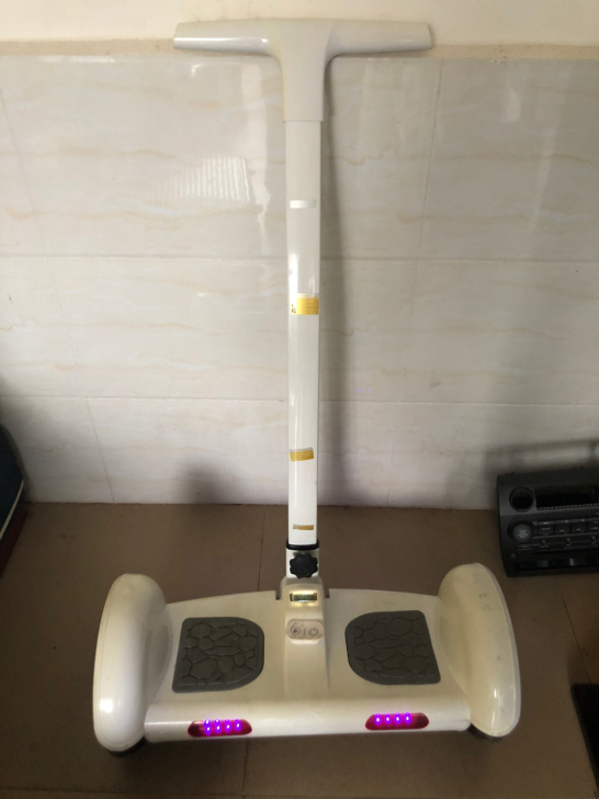 电电车，平衡车，电动平衡车，京东购买的龙吟...