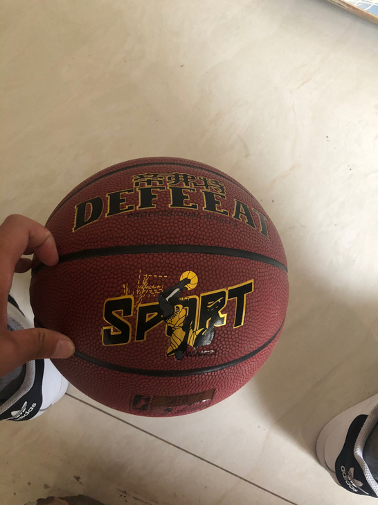 帝弗特篮球全新