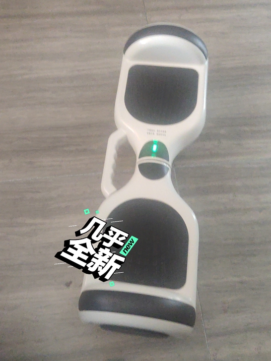 电动平衡车，自取，刚买了几天还没用，带扶手...
