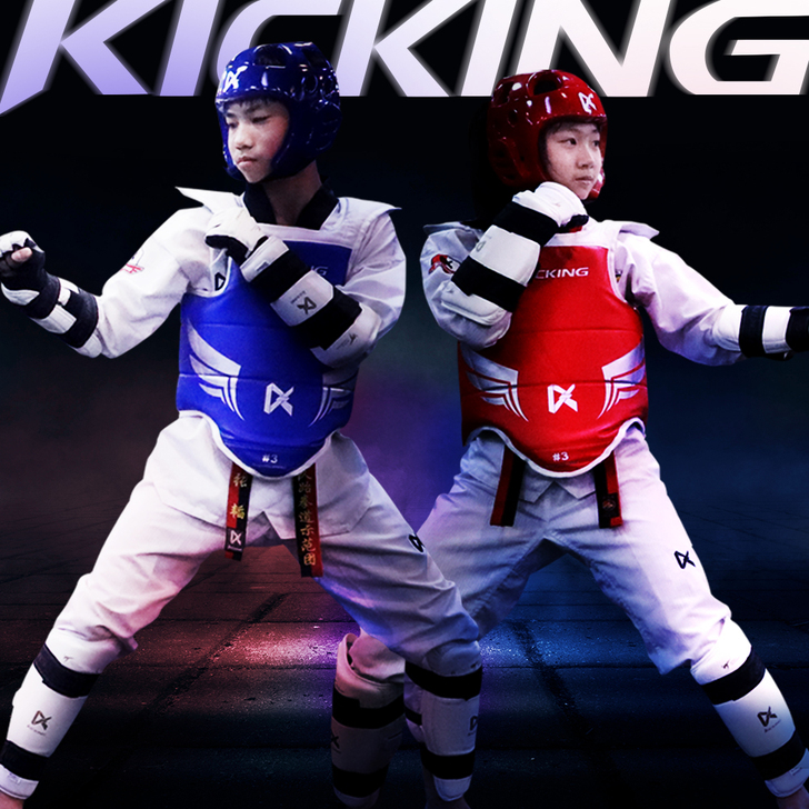 极擎 跆拳道护具