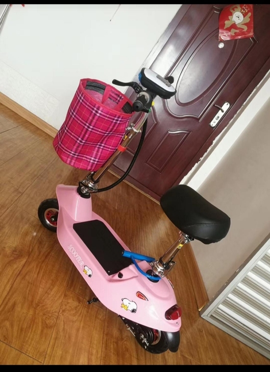 厂家直销，只有15台！升级版小海豚迷你可折...