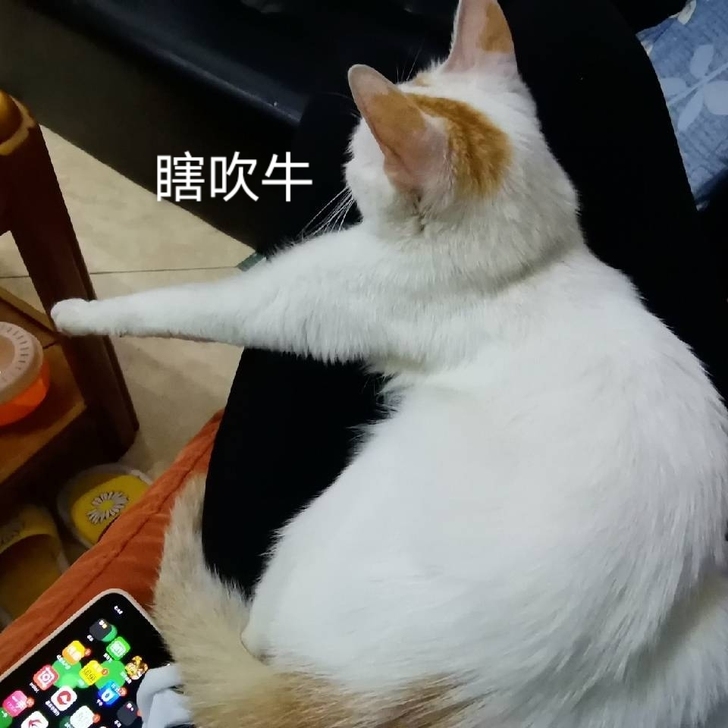 收苹果8手机，要功能正常，插卡即用。指纹拍...