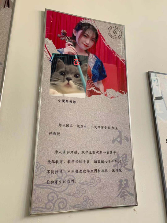 湛江小提琴课 ，原珠海管弦乐团小提琴手，广...