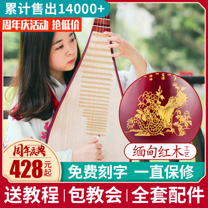 红木琵琶乐器初学入门成人儿童弹拔琵琶演奏民...