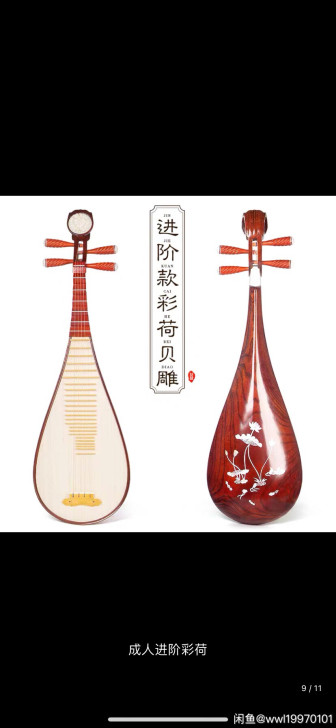 琵琶 背面是荷花图 初学者琵琶