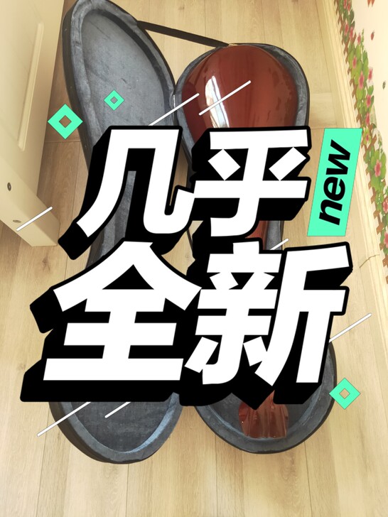 红木成人版琵琶！没咋用过！