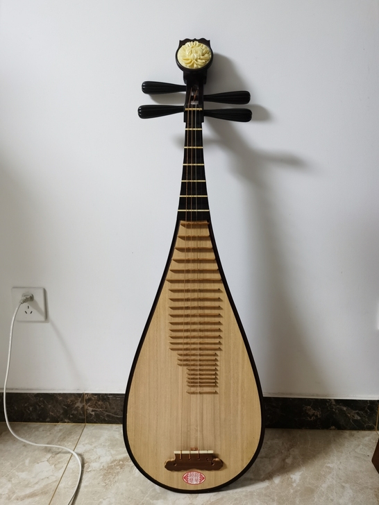 代同事挂闲鱼，以前自用的琵琶，只轻微使用，...