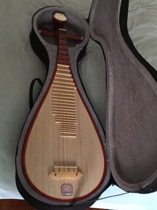 成人琵琶演奏初学练习琴 产地：河北省 面板...