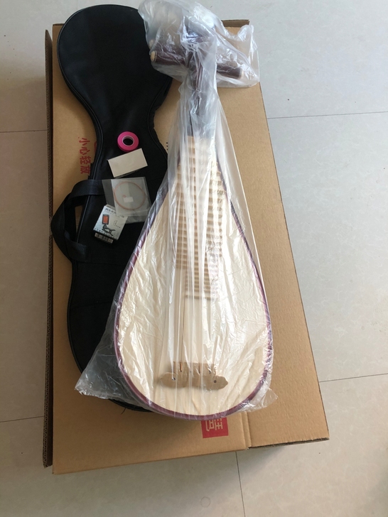 全新成人琵琶琴乐器，