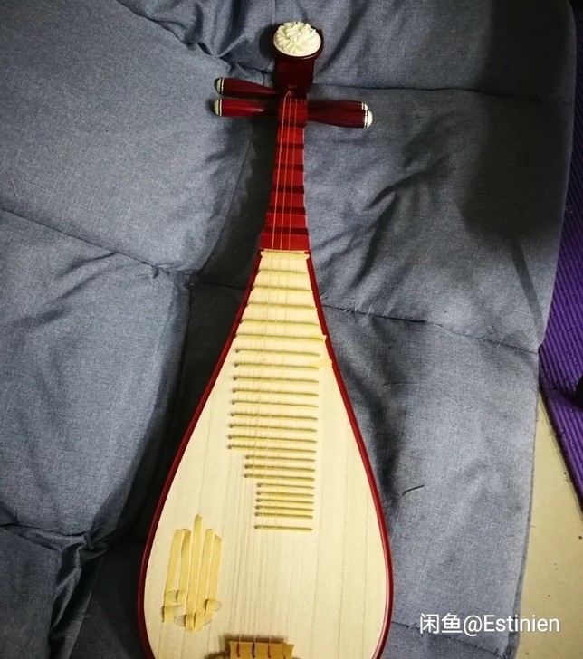 成人琵琶99新，仅用一次，有甲片，有琴包，...