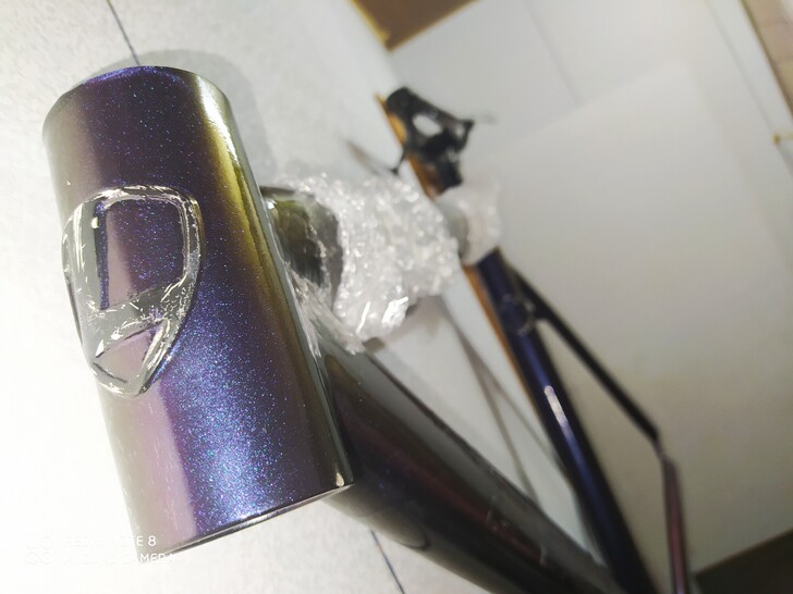 LEADER 725 死飞 固齿 场...