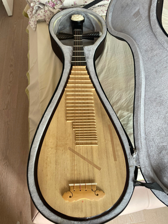 想尝试琵琶的请看过来,二手有损伤!