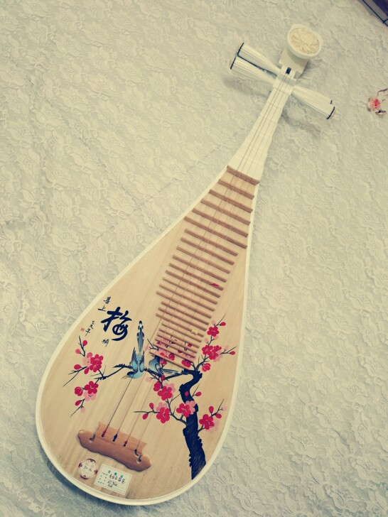 梅花白琵琶，成人型号全新的，但是放了很久有...