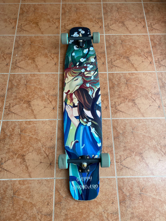 孔雀鱼长板专业板gappy滑板男女生初学成...