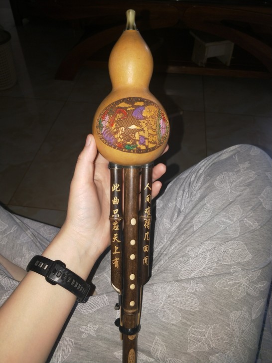 葫芦丝，降b调(小时候两百买的，用过几次 ...