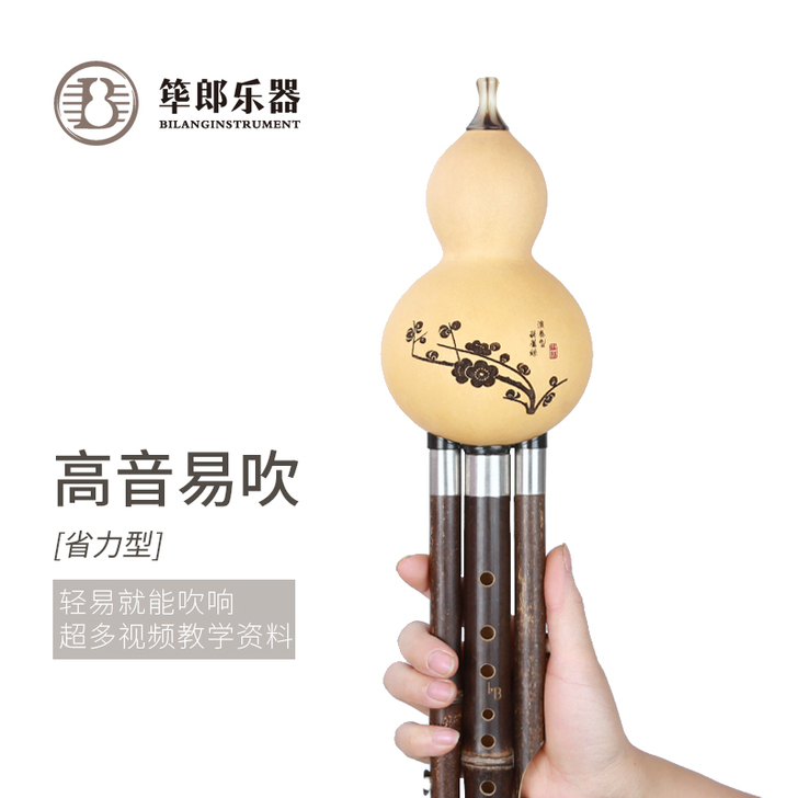 筚郎葫芦丝乐器初学 专业演奏 音准耐用型葫...