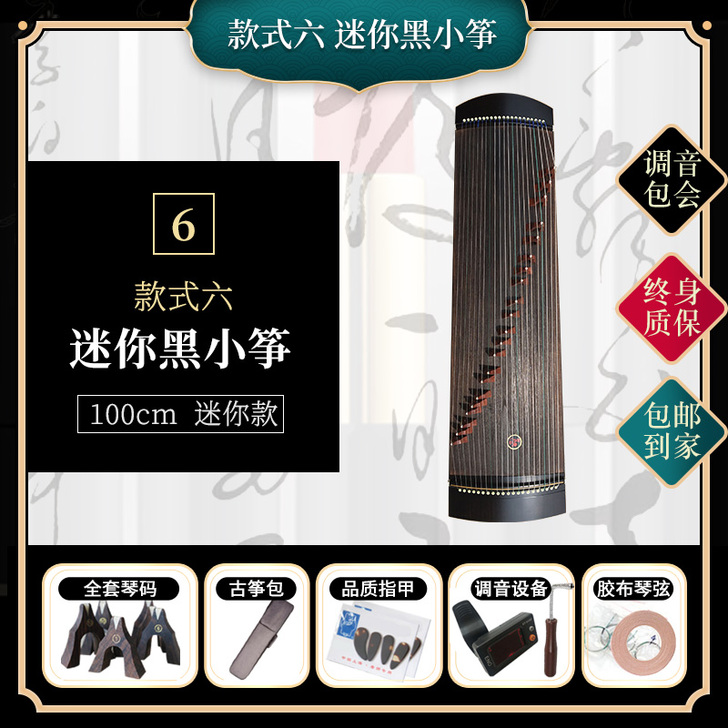 【狂欢价】双百便携式小古筝多种尺寸儿童练习...