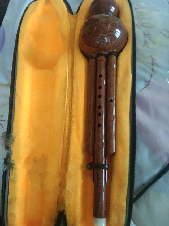 葫芦丝，全新没用过，包邮，买给小朋友的，结...