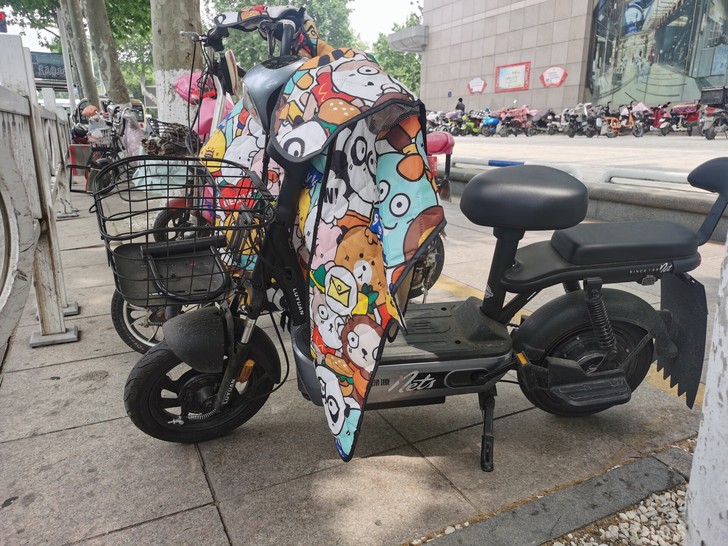 绿源电动车，购买了一个月，小区不让电动车上...