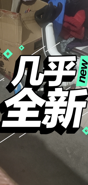 领奥成人平衡车，两用的，高配，有喜欢的吗？...