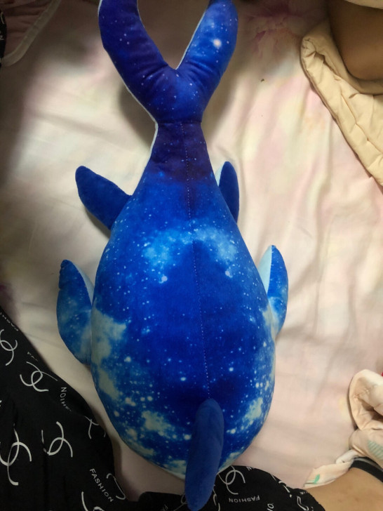 开精品店剩下七八个，全新烧烤庄周的鱼   ...