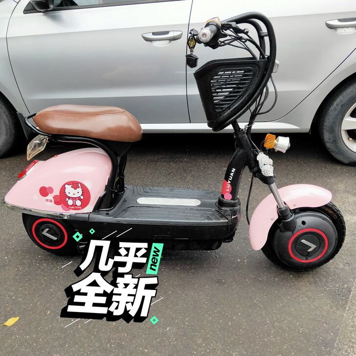 九成绿源电动车，kitty猫，48伏20安...