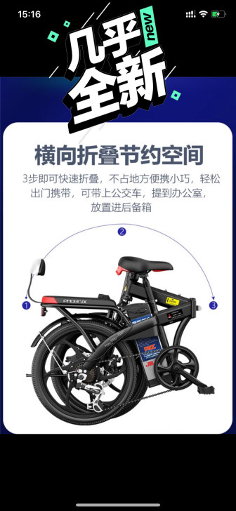国产好牌凤凰电动自行车