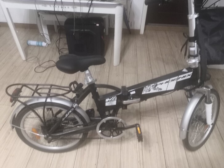 凤凰电动自行车