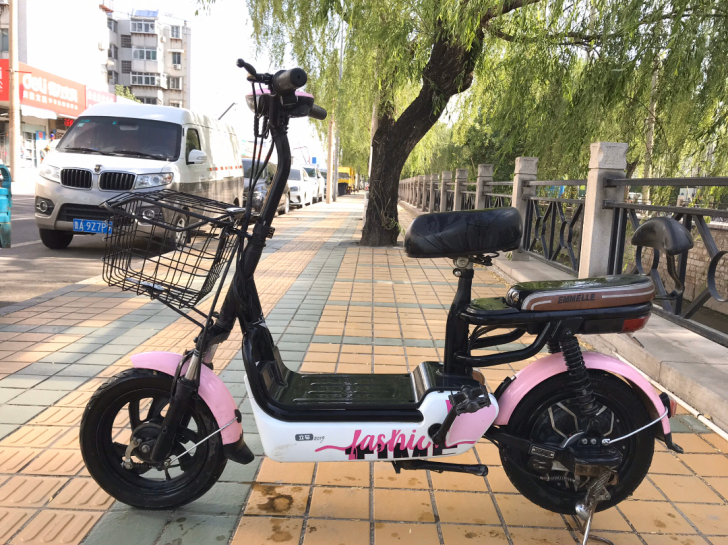 国标电动车 绿牌永久骑行，9成新，购买一年...