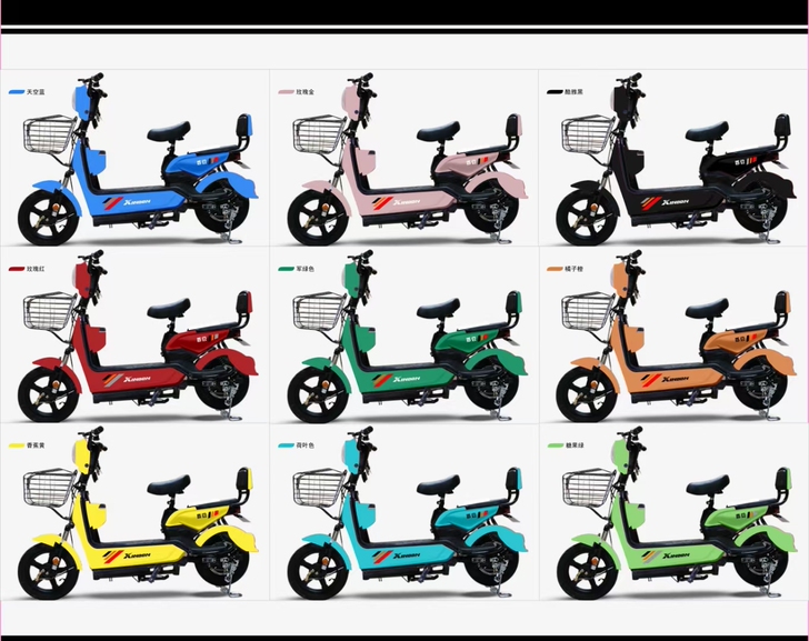 #节后鱼生#2021全新新国标电动车厂家直...