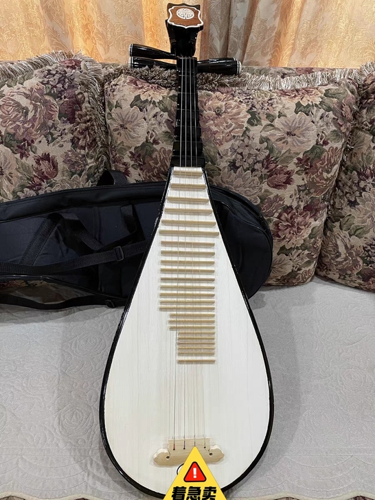 琵琶二手 去年学琵琶 在老师的琴行买的 ...