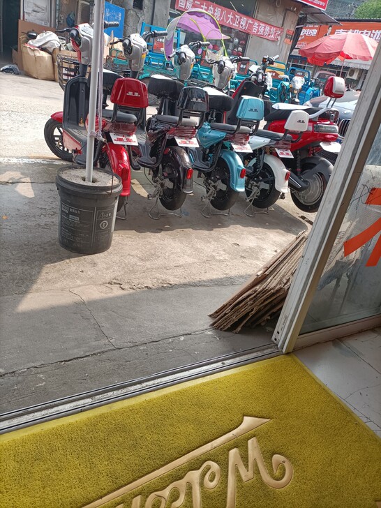 电动车上海品牌凤凰国标简易车/是你上下班接...