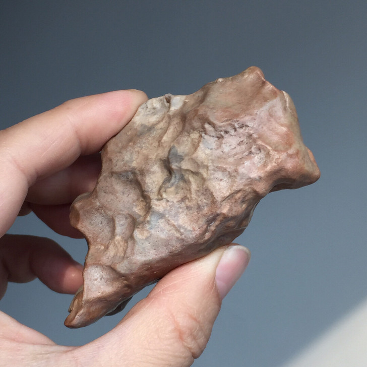 内蒙戈壁石 阿拉善象形石 鸟 不包邮！