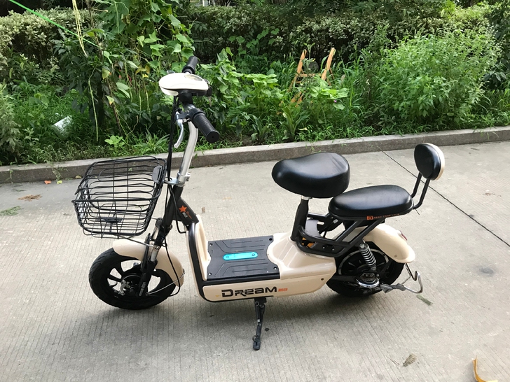 新日电动车 48复 层色非常...