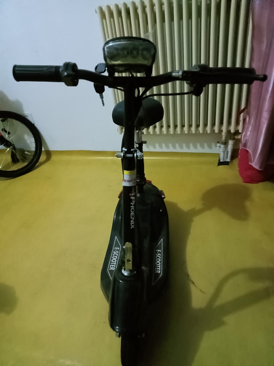 凤凰小海豚电动车。组装好，要搬家，所以要卖...