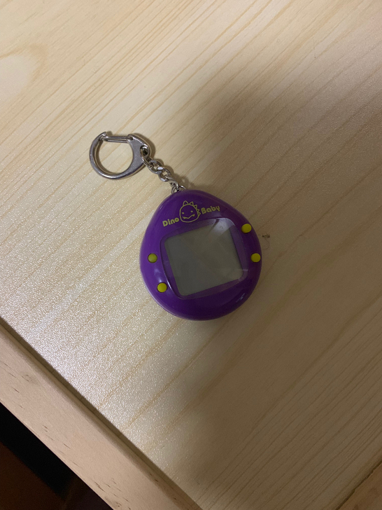 电子宠物，非拓麻歌子，单价为一个的价格