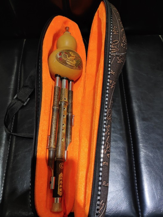 琴行葫芦丝出售，没用过，带包