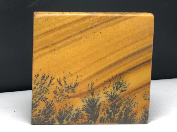 水草石，如水墨画山树，形象分明，太美了。有...