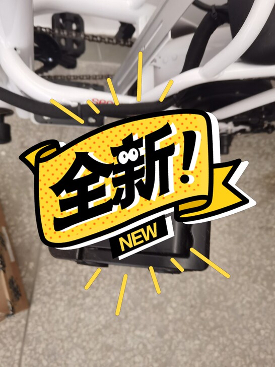 Phoenix/凤凰 电动自行车，全新，买...