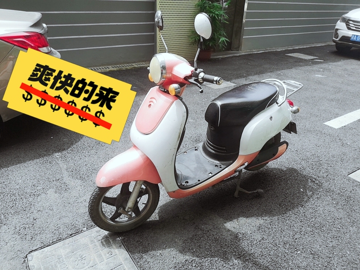 绿源黄牌小龟电动车，48v20a电瓶，续航...