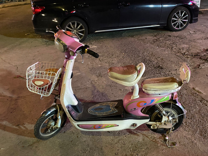 品牌型号 ，上海永久电动车