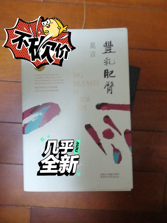 莫言的小说丰乳肥臀，原价49现价，35