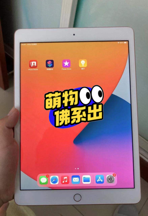 自用ipad6（air2） 64g 苹果平...