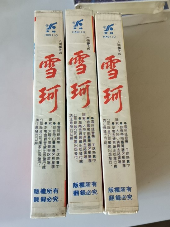 琼瑶 最新作品雪珂（一 三 四）集